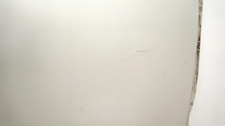 109f981f4c21aabefa7ca6d43b75832f.jpg