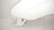 ec04470bd0add8abf8b96e4d0de58fb6.jpg
