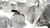 abf43a166dbd4e99c6b6921f286ba68a.jpg