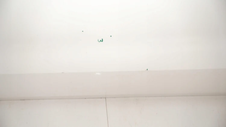 e482f7df915e62094ed9691e500669d5.jpg