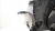 fa50cb9a16a3fe33e9d2c650ba766dd8.jpg
