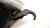 f7be4248ea62a23eaae13586f83cb99f.jpg