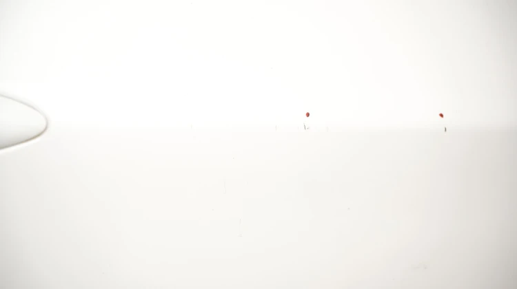 50ca2836815caeec65e447f06e7eb313.jpg
