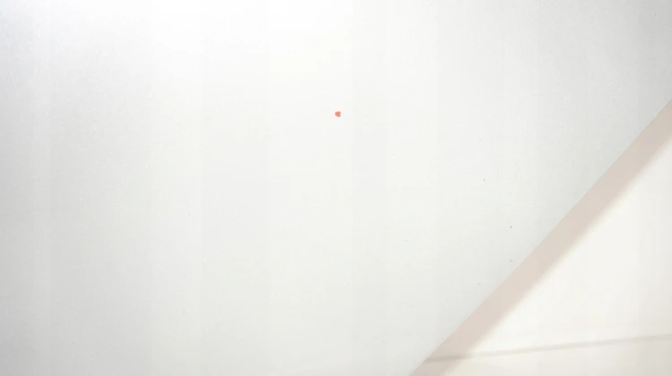 d37621b0aa02e400fce9e52b1901f544.jpg