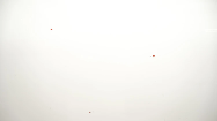 339ed93f38f75624187d7b61965c31d1.jpg