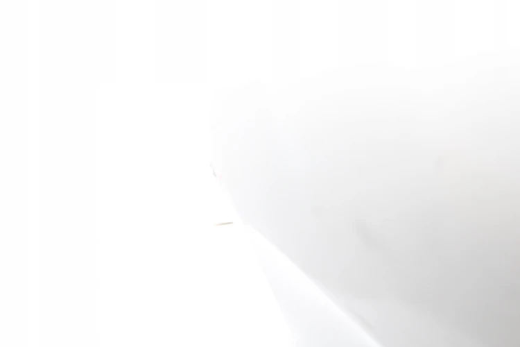 a81b989413a1227075f0205a9f490a8f.jpg