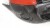 1abf5f18ed2091df53ebb1d4be365c66.jpg