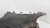d5fc9982a3cee545c7299109cc4067d3.jpg