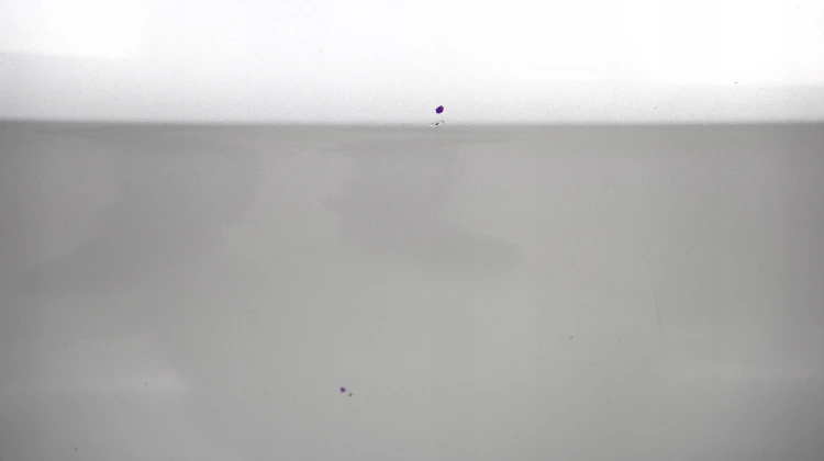 98eb2294b03aca4e82a93ef9b80b1b9e.jpg