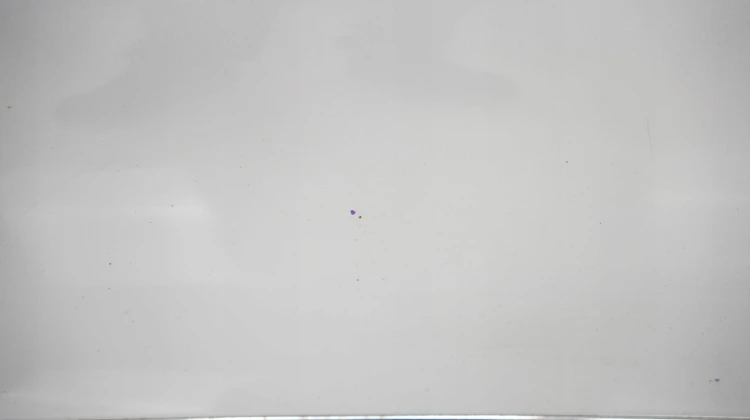 a796a5f8979a6ca1c2e39827fa404d03.jpg