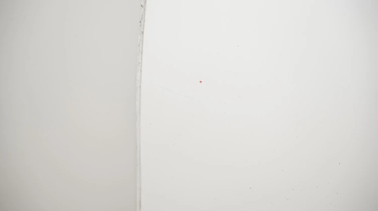 d45b54381d578719c846b71e4950d59f.jpg