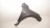 dc68ab7ff7a9e9de72075399a89a0c06.jpg