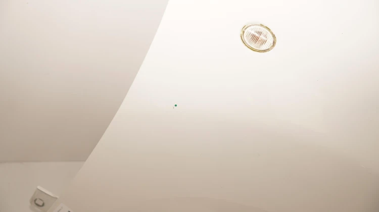 b1ac2308782711345e836023479236ef.jpg
