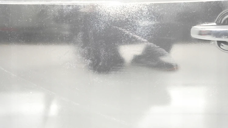 d86e64d77eae51951fe1266924d2cca8.jpg