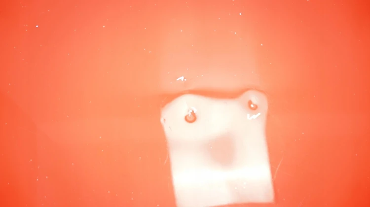 bef6f3fd8d4124403e9f25f8cc44c0dd.jpg