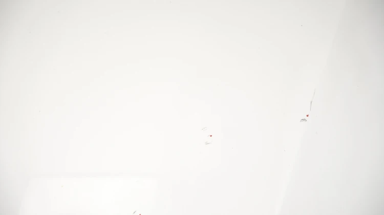 5dcdfda3dd3fb947483f6d8b91cef88f.jpg