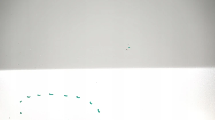 4268d6b1e66acae2203de1ce296bbaab.jpg