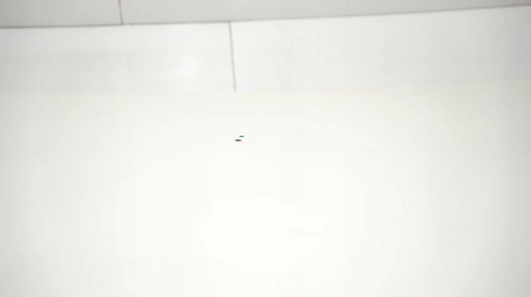 5983832d20e5ae5ade387cebe613d2c3.jpg