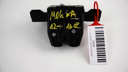 b625b4927f6c1a1d0adc0dc68ee8a28e.jpg