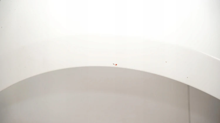 68f59780eba2a37b28aa6963798cc218.jpg