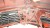 2d538056b9d3770d511c84d0c7fb8e4f.jpg