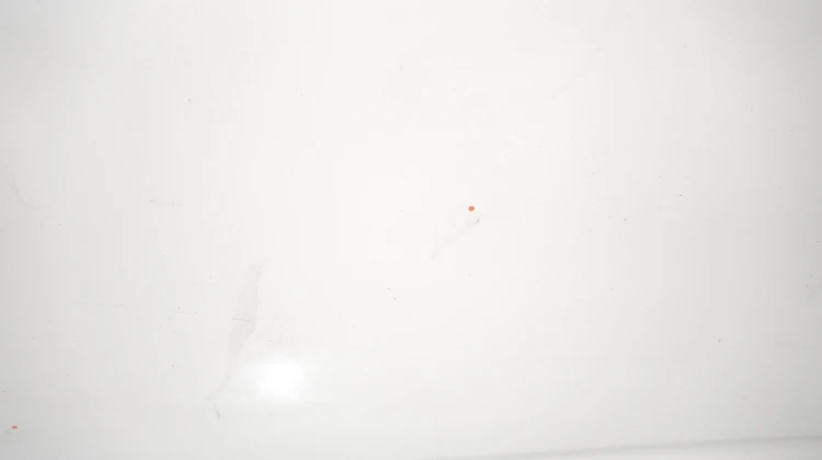 a49911a5da5e72753a248253ae98f2bb.jpg