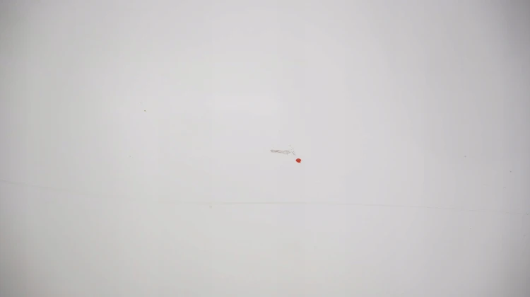 a5a2f71c999e13bfee9d7b843a0d1a0b.jpg