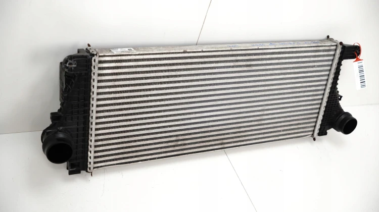 991aa5cc10110d4fd5654dff35d4e07d.jpg